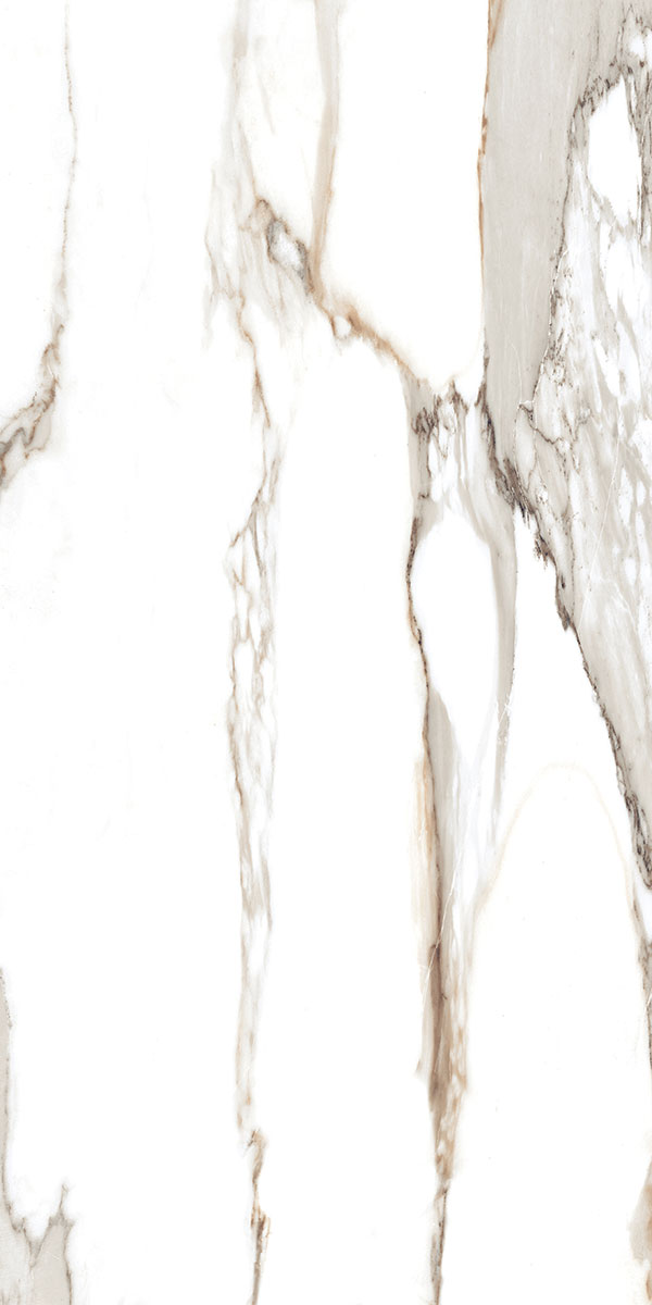 LEONARDO GOLD LUMINOX