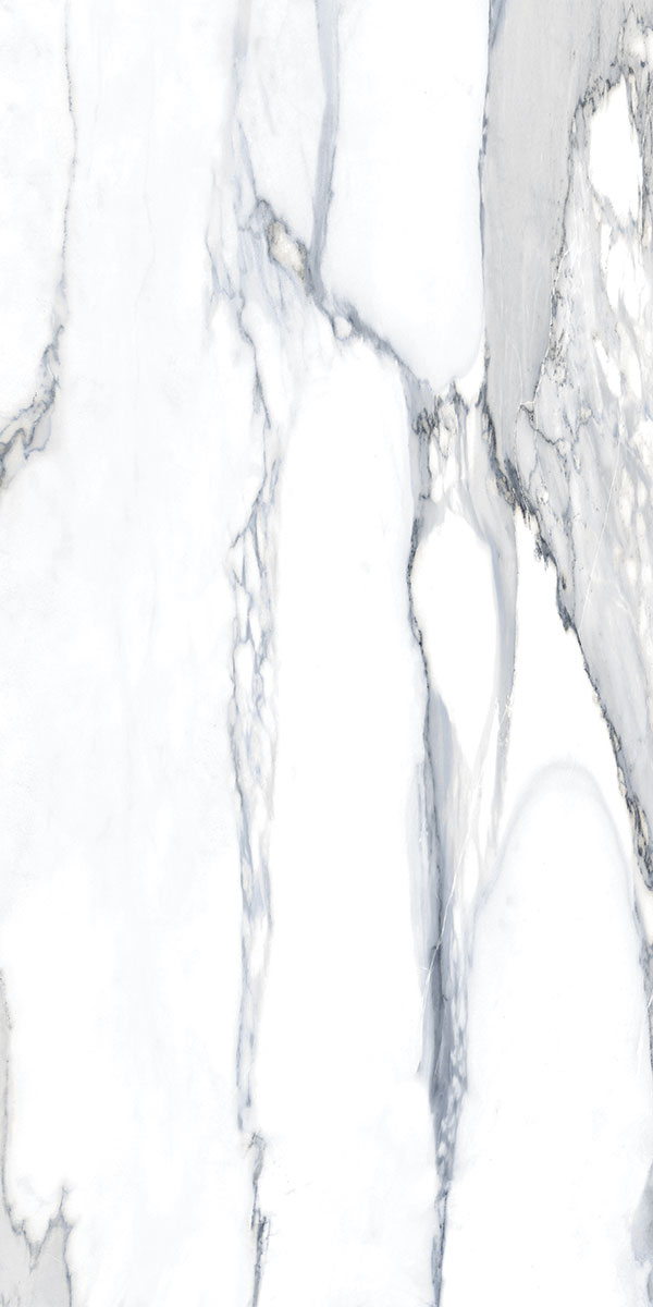 LEONARDO GREY LUMINOX