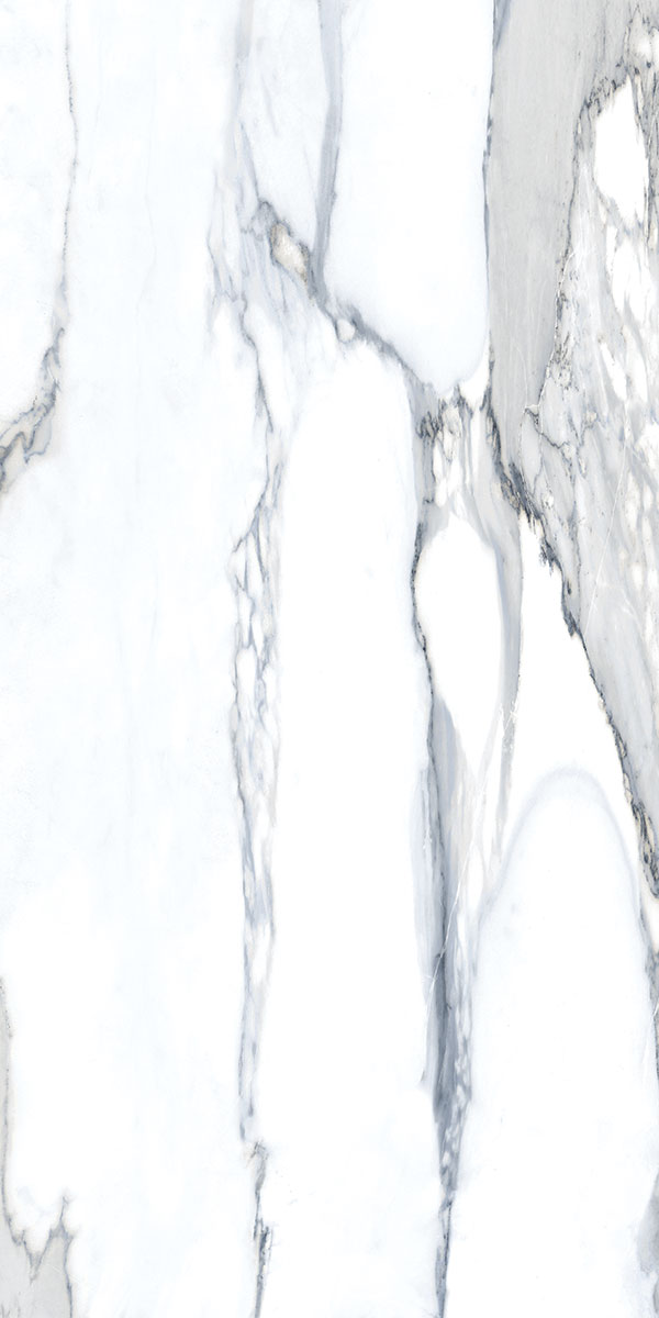 LEONARDO GREY FEATHER