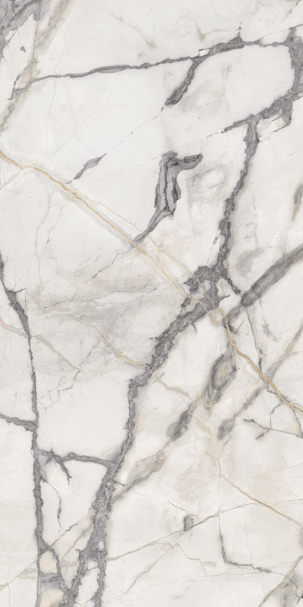 COCLIT WHITE KRITOLE SHINE