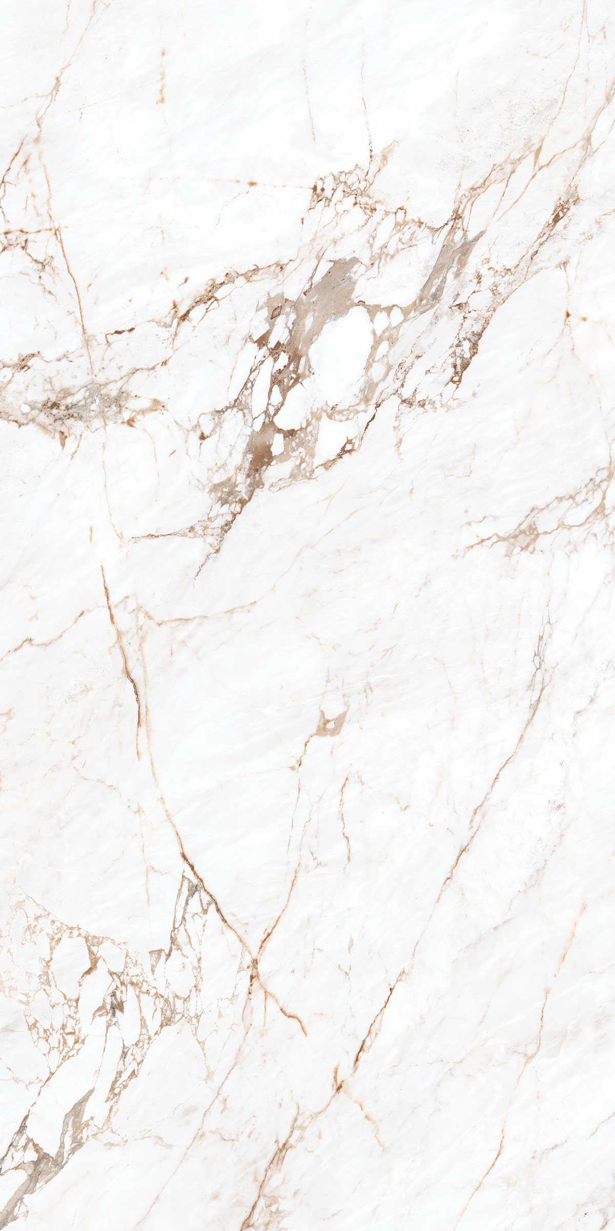 CALCATTA NOBILE FEATHER