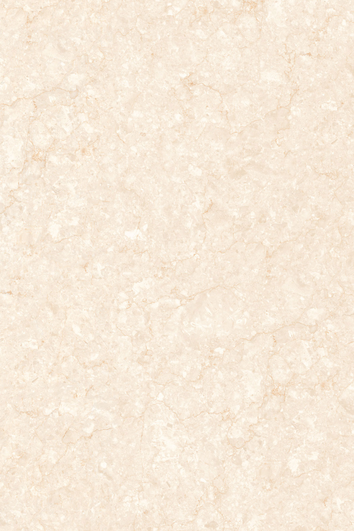 CAPPUCCINO IVORY MUSE