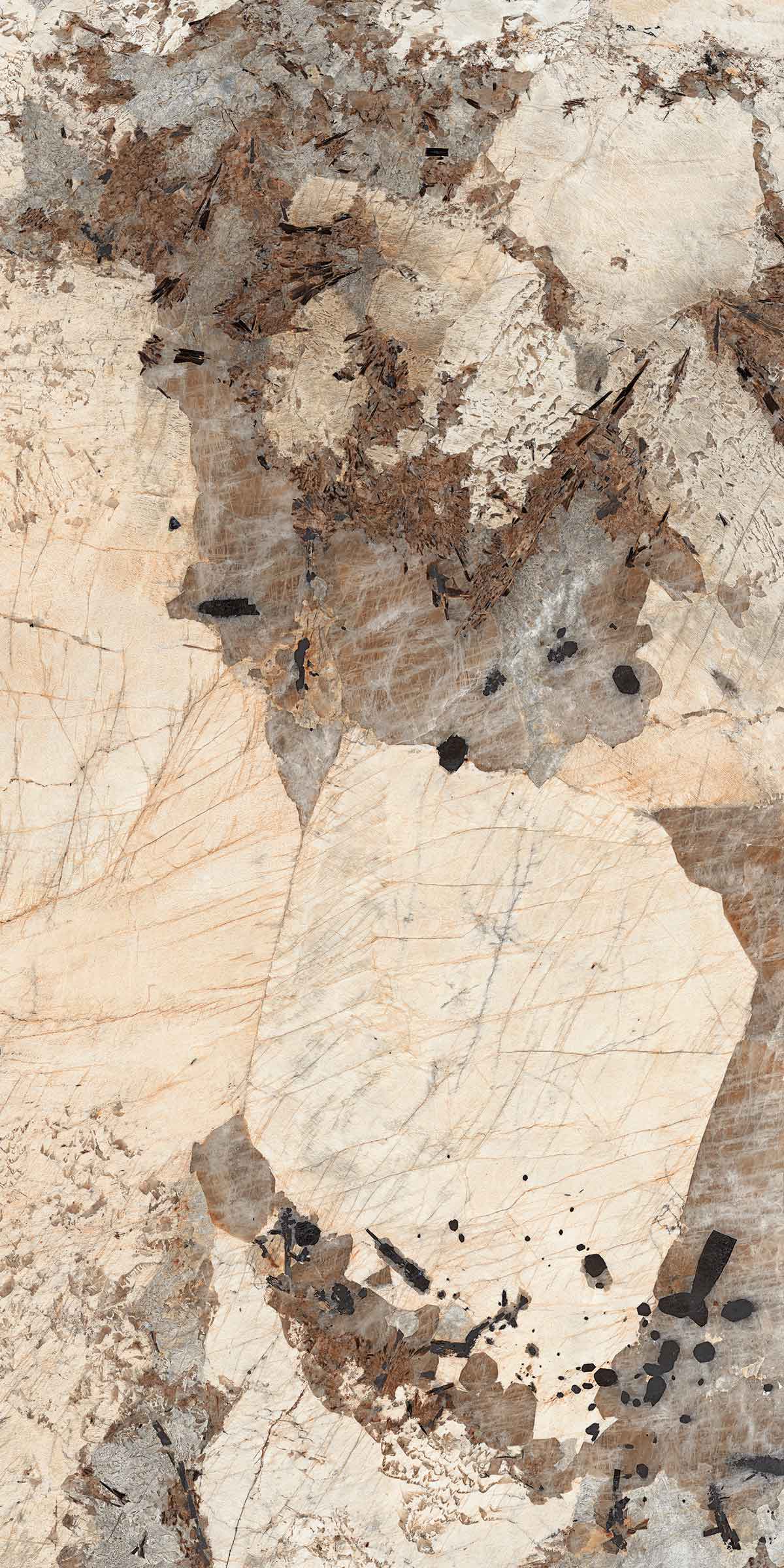 PATAGONIA BRONZE
